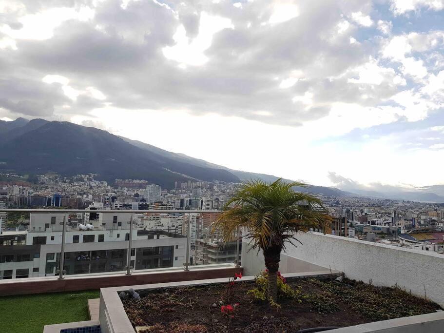 Modern Suite, Excellent Location!